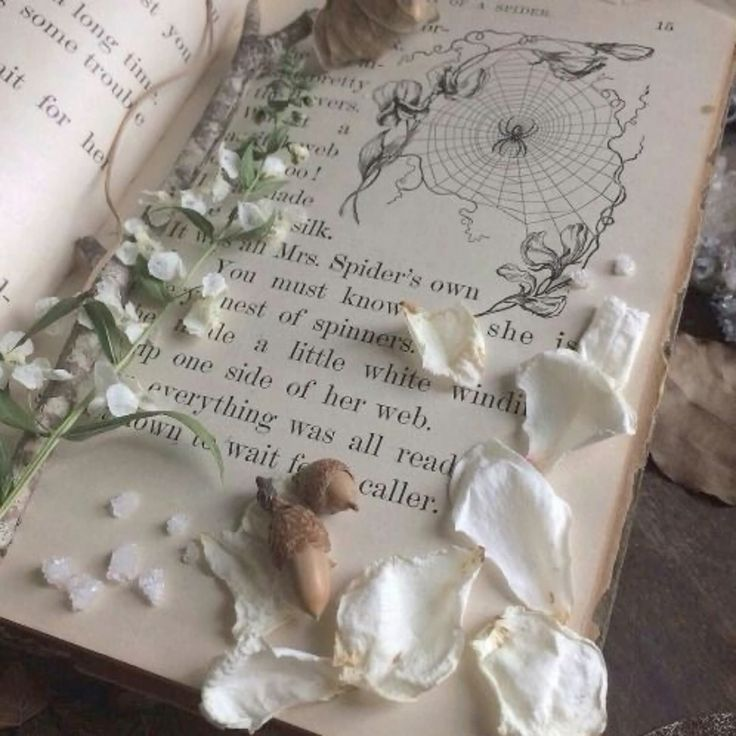 aestheticpost's tweet image. Every detail makes you feel like you've stepped into a fairy tale.