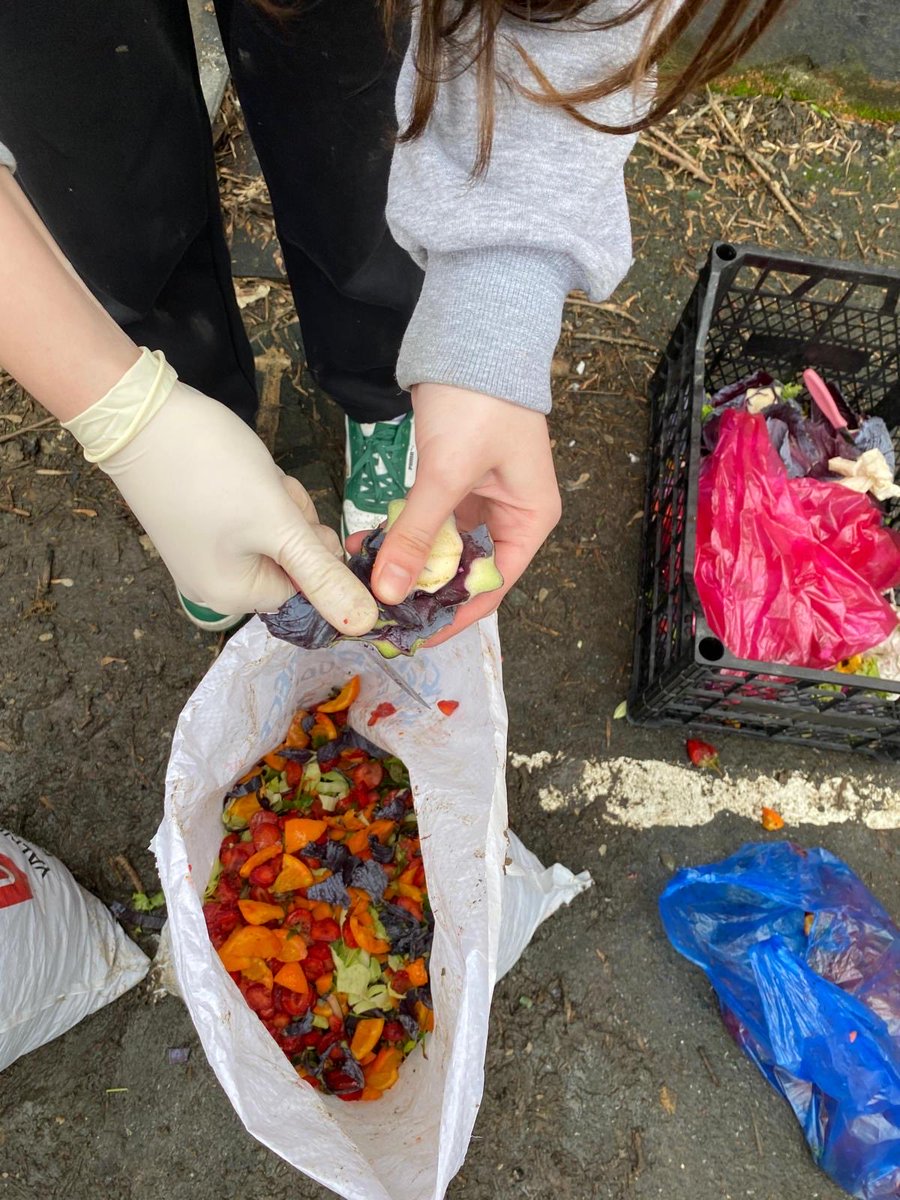 Mustafa Barut Anadolu Lisesi tweet media