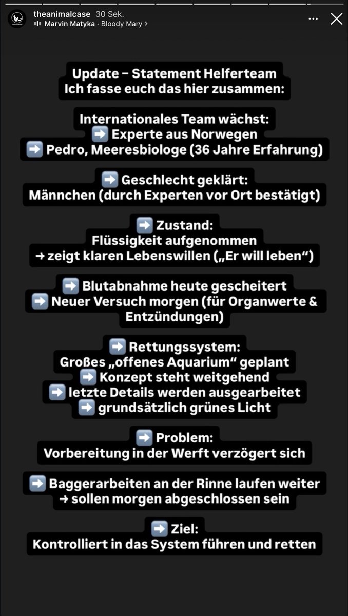 Anderes_Kaliber tweet media