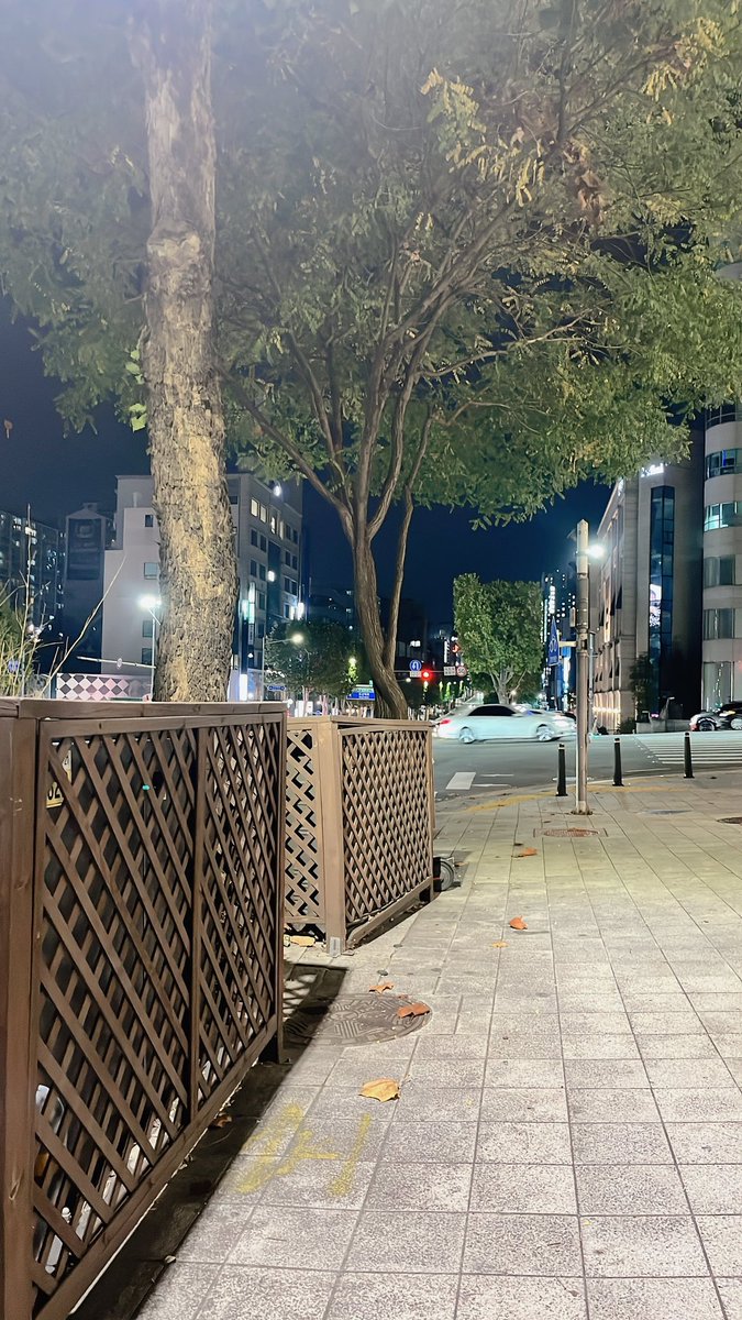 Winter ʕ•́ᴥ•̀ʔっ𐤀 tweet media