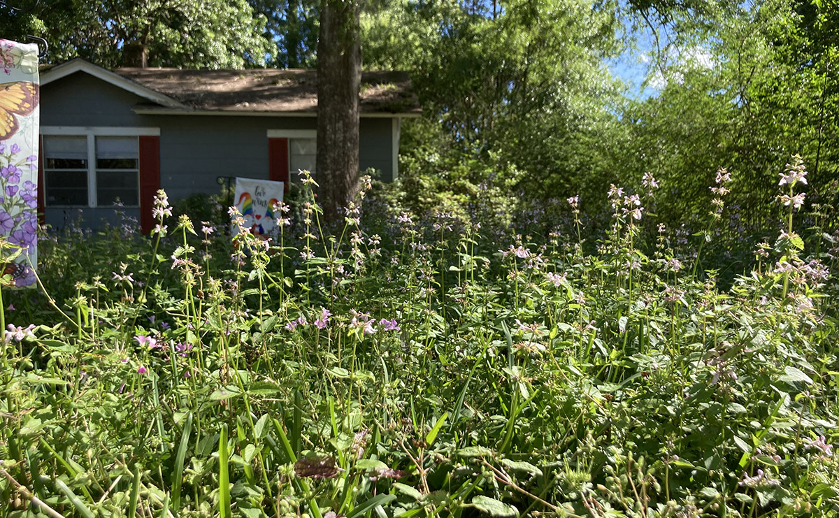 Give A Shit About Nature tweet media