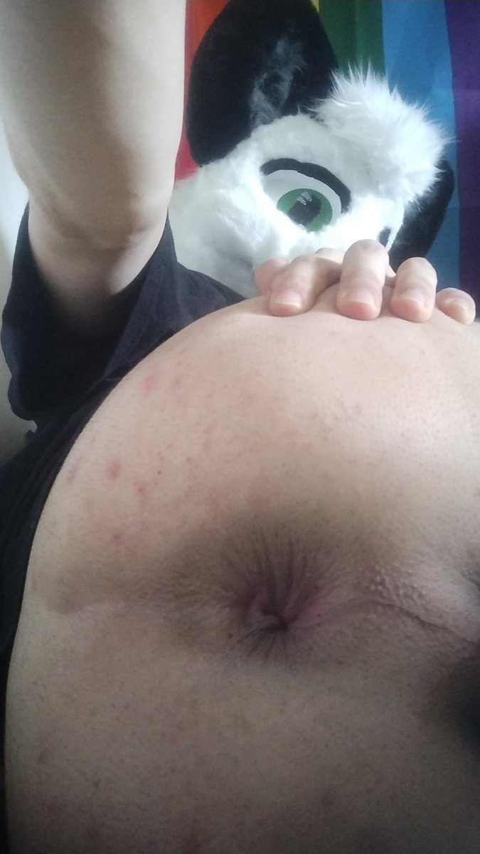 Blizzardfur 🔞 🏳️‍🌈 🔜 FWA tweet media