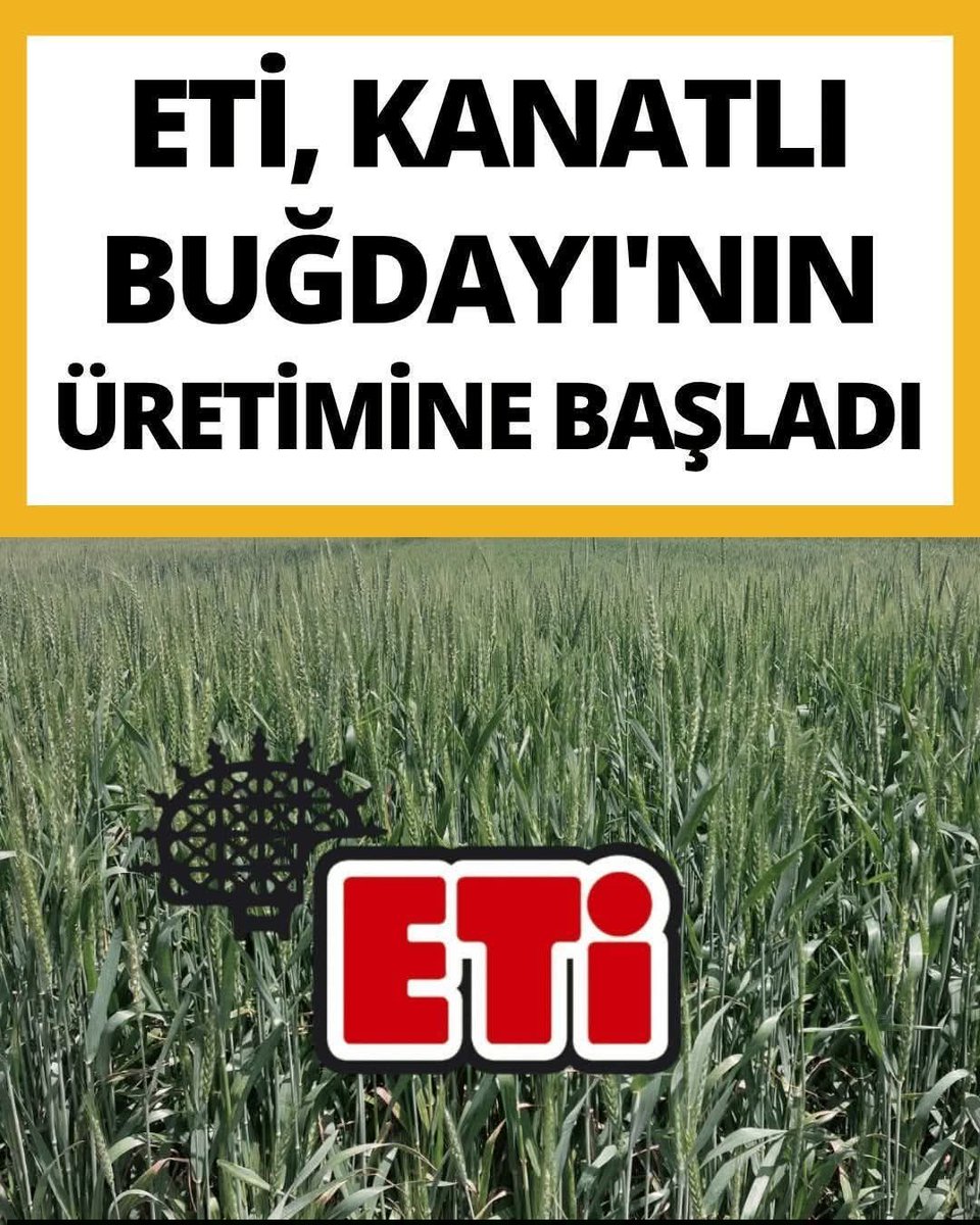 𝐸ş𝓇𝑒𝒻𝓅𝒶ş𝒶𝓁ı tweet media