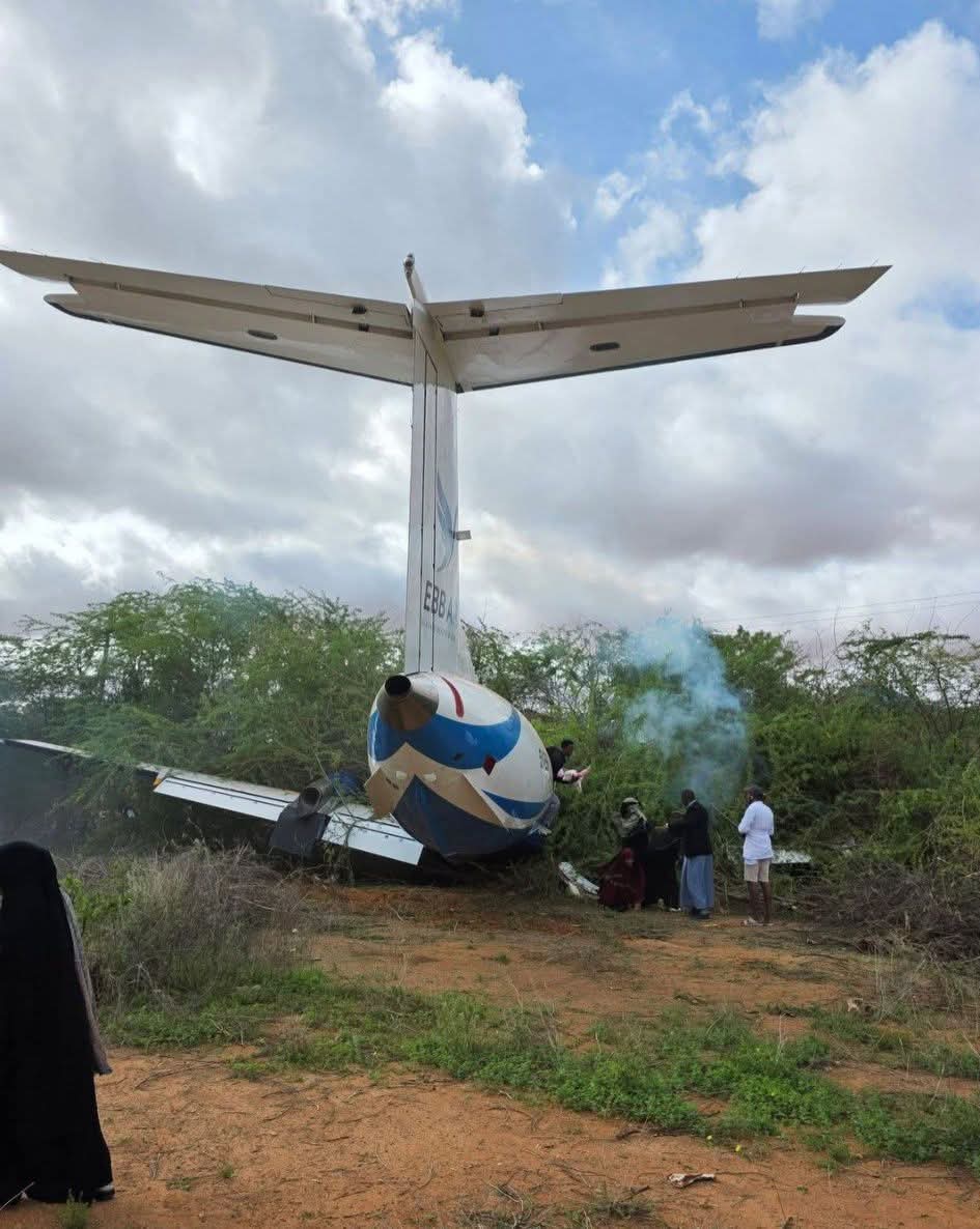 𝕾𝖊𝖓𝖆𝖙𝖔𝖗 𝕴𝖞𝖞𝖊𝖘𝖘𝖆 -𝕯𝕽 tweet media