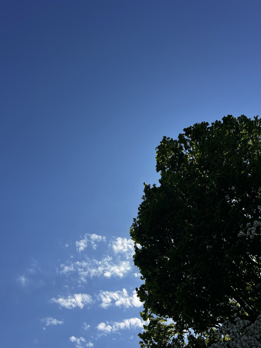 Himbo Goober tweet media