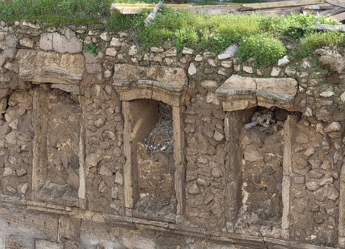 كايد بن لادن الشمري tweet media