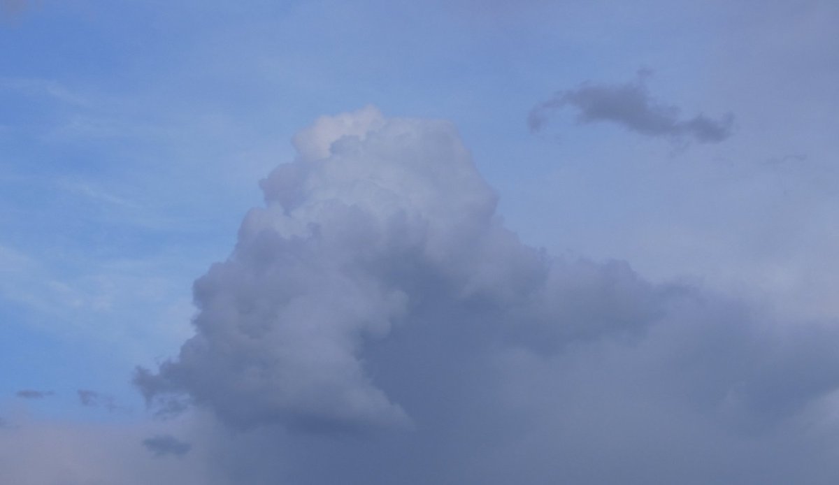 Anderson Jones tweet media