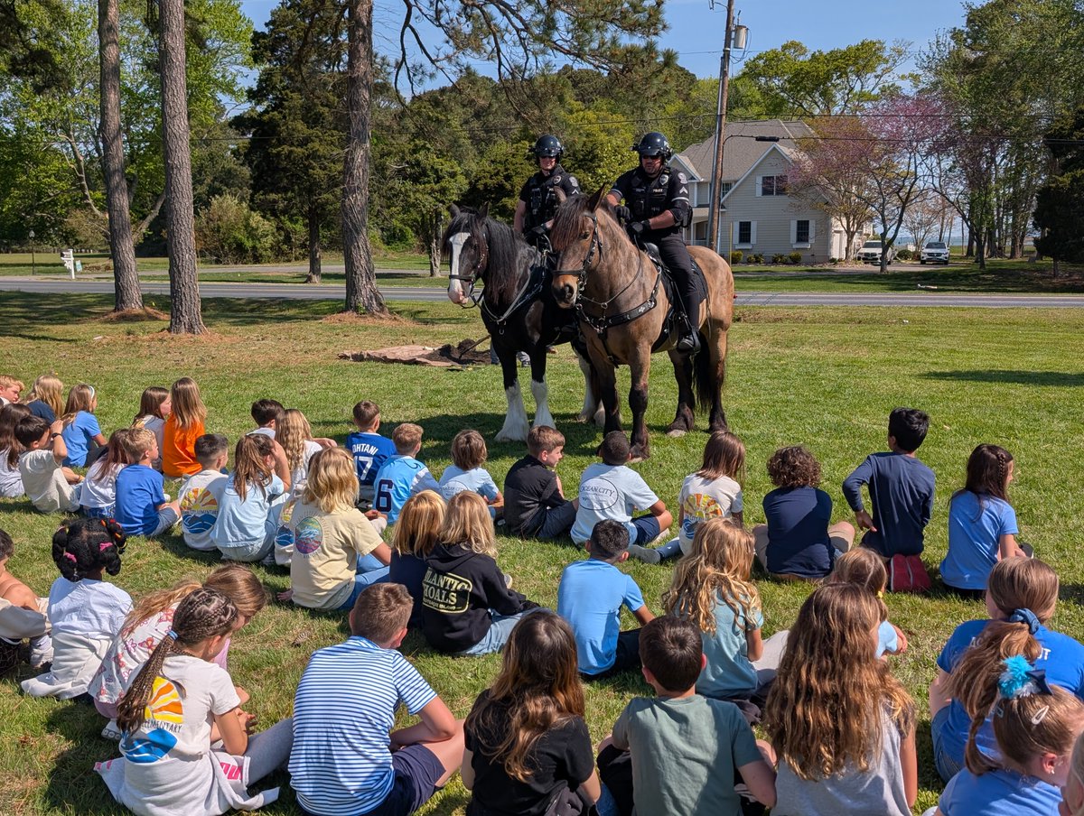 Worcester County Sheriff's Office tweet media