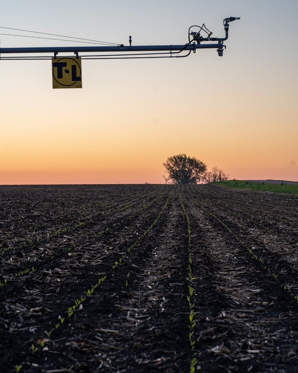 TLirrigation's tweet photo. As the season begins and crops start to emerge, preparation and reliable systems help support what comes next in the field. https://t.co/mmGqqM41t7