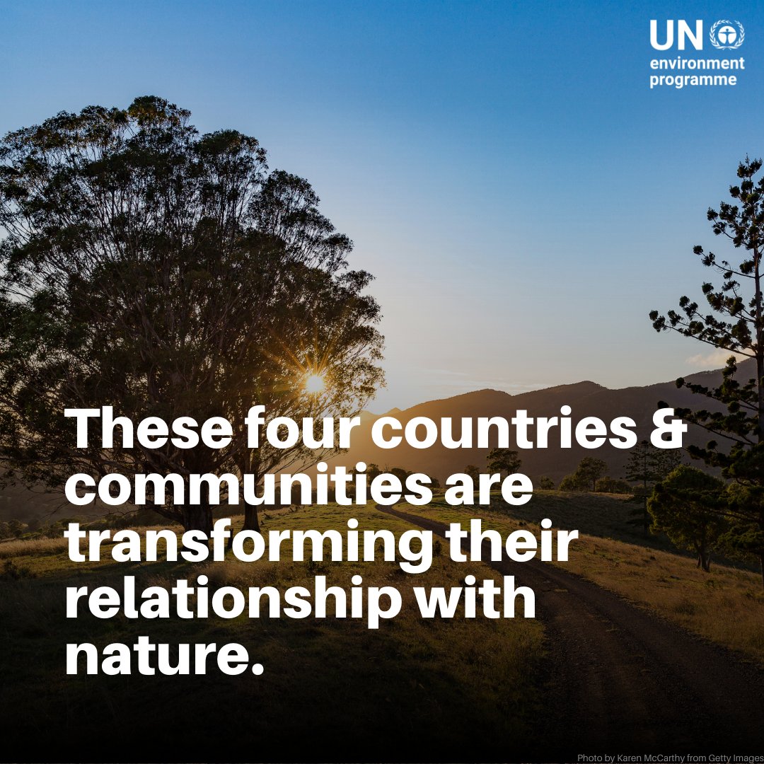 UN Environment Programme tweet media