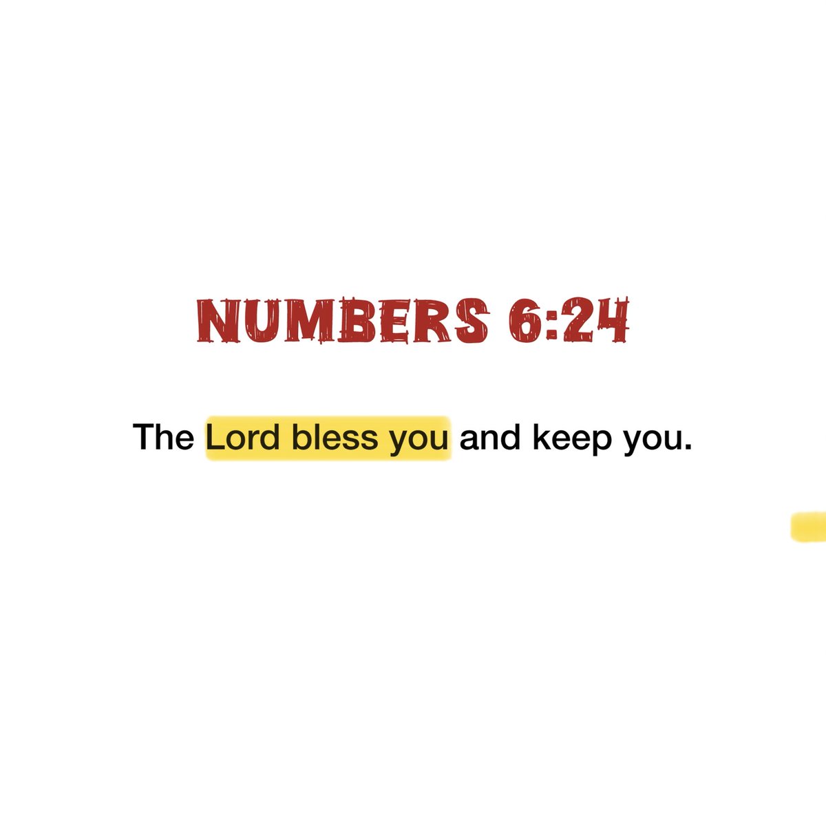 Holy Bible tweet media