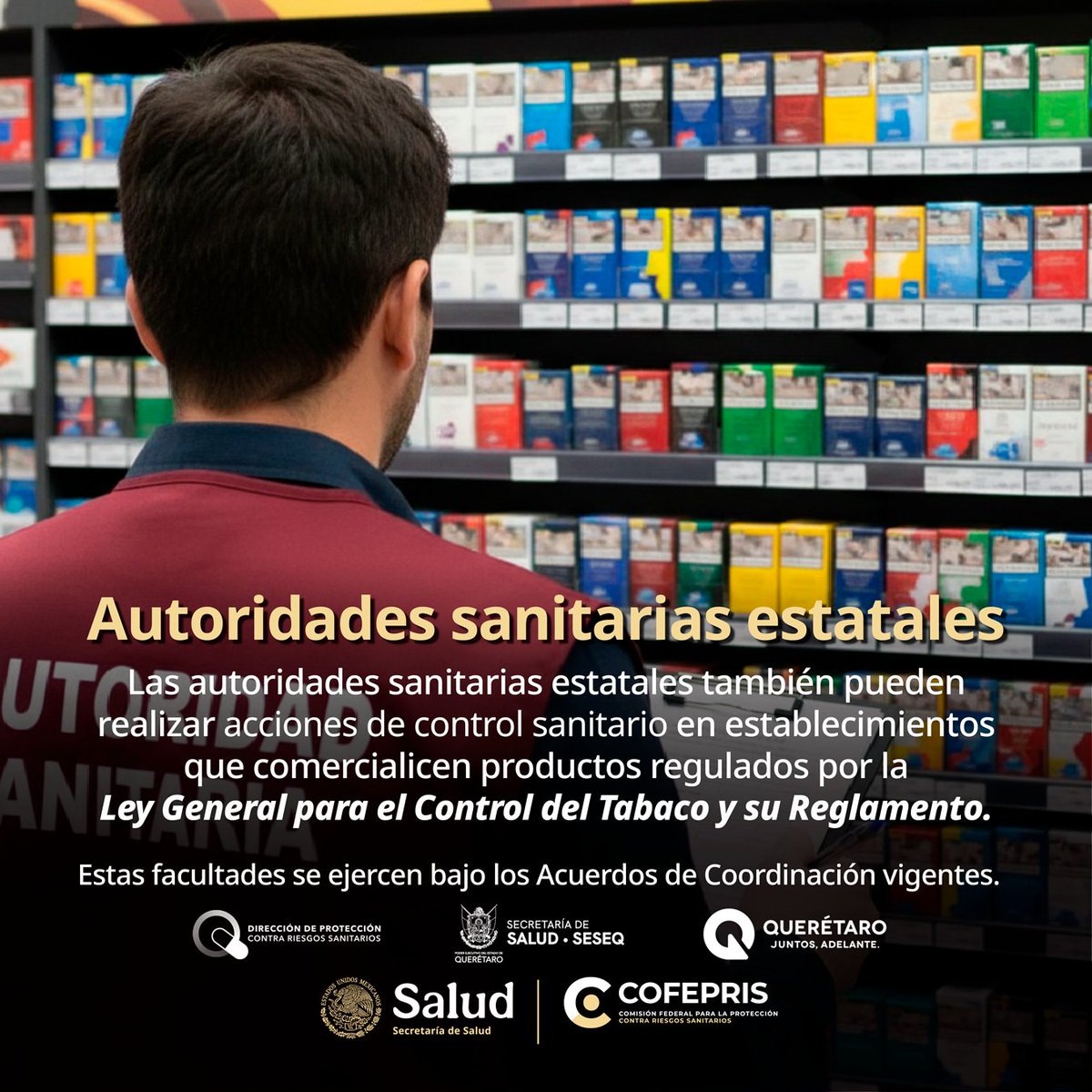 Riesgos Sanitarios Querétaro tweet media