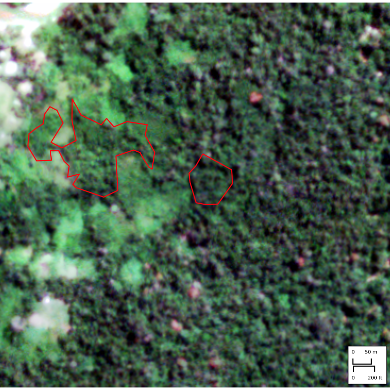 indimapbr's tweet photo. O IndiMap Acabou de gerar uma nova notificação de desmatamento na terra Indígena Arara do Rio Amônia.
Foi detectado 1 alerta de desmatamento via Mapbiomas Alerta.
Mais detalhes acesse: https://t.co/9VPNBWD3R2 
#indimap #indimapDesmatamentos #AraradoRioAmonia https://t.co/3zv78YvBYn