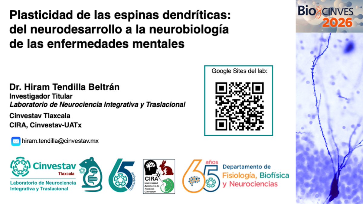 tendilla_lab's tweet photo. BioCinves 2026 🧠🐭🔬👩‍🔬📈🧑‍💻

Department of Physiology, Biophysics and Neuroscience at @cinvestav 

#OrgulloCinvestav @ConexionCinves @HiramTendilla 

The event is available in YouTube: https://t.co/yAWxBLyTxQ https://t.co/UO23hOTA5F