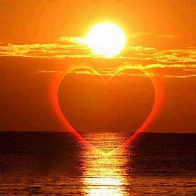 SWilkingHoran's tweet image. #FridayVibe ~ Still celebrating #earth month on the #blog. #ICYMI, please come with me for steps ensuring #health &amp;amp; #wellness for #MotherEarth. 🌍🪹🌞🌿 #friday #weekendvibes #healthyhabits #NatureVibes #authors #writerscommunity #recycle #ecology @EPA 
susanwilkinghoran.com/saving-mother-…