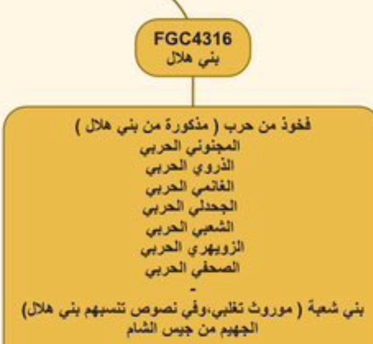 قحيم tweet media