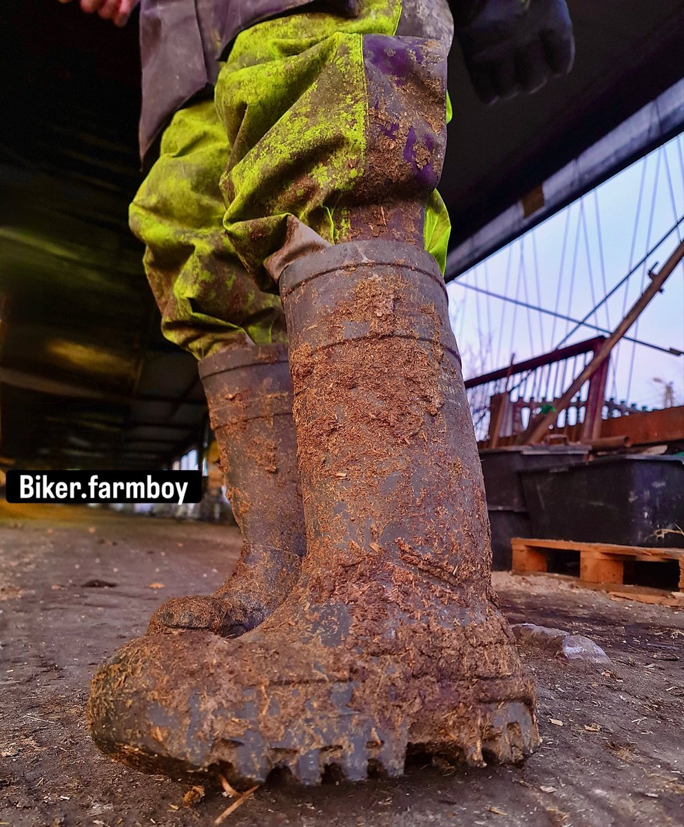 biker_farmboy's tweet image. 🐷🧑‍🌾
#farmboy #manure #melker #dirtyboy #dunlopboots #dirtyjob #stinky #cowfarmer