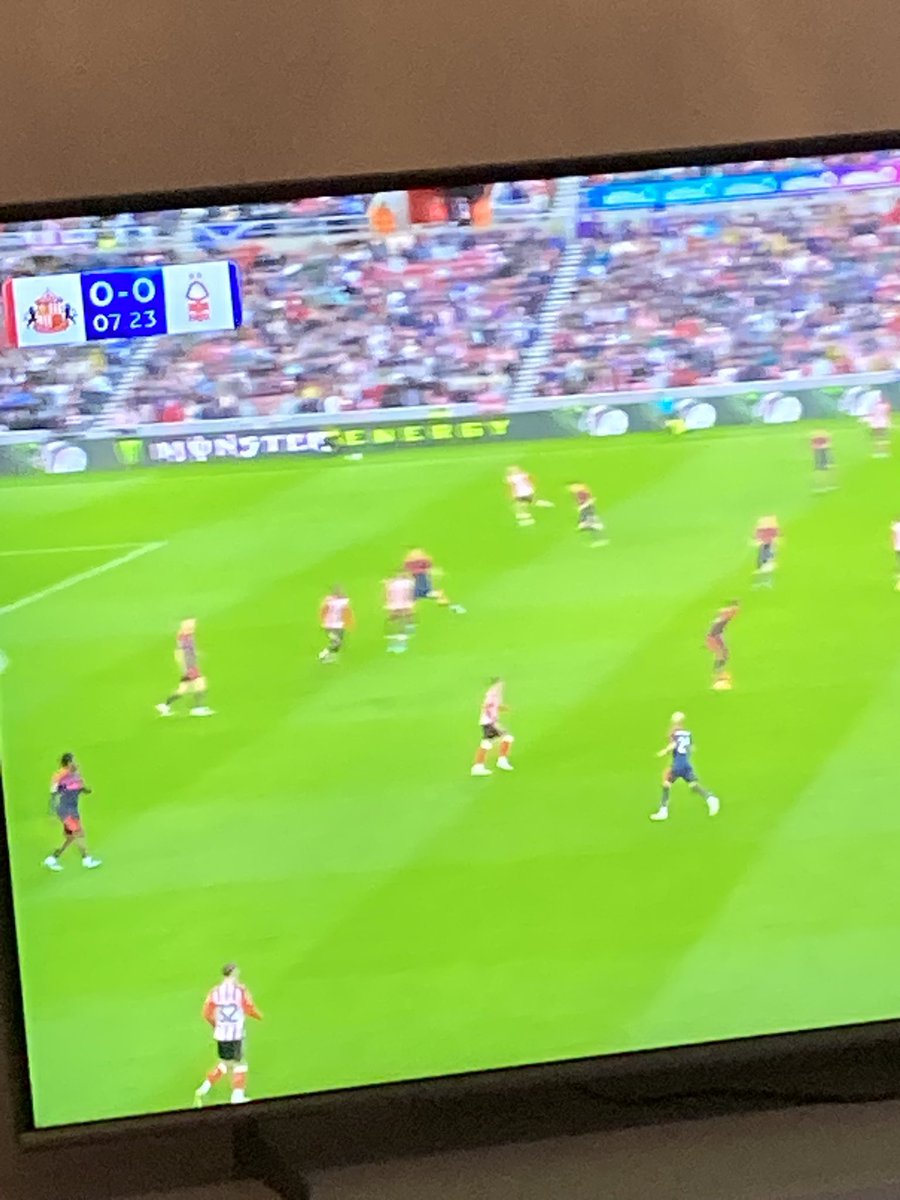 ARMCHAIR EVERTON tweet media