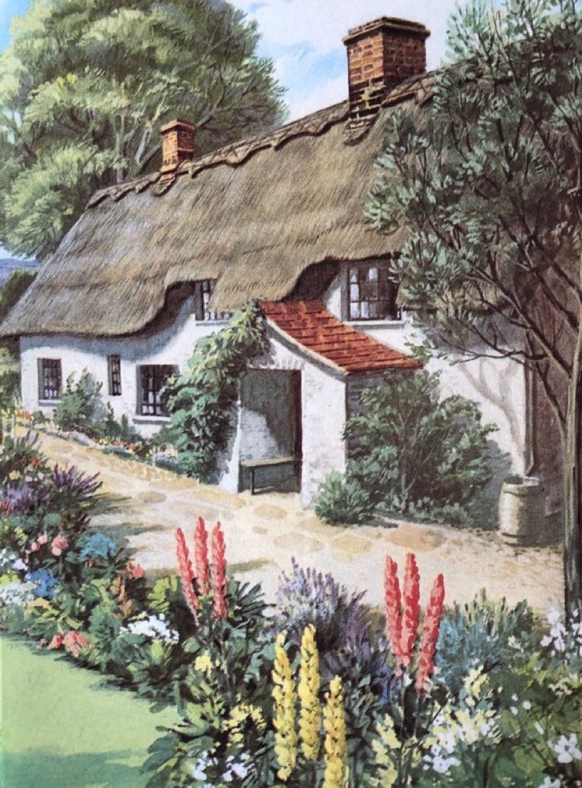 Helen Day tweet media