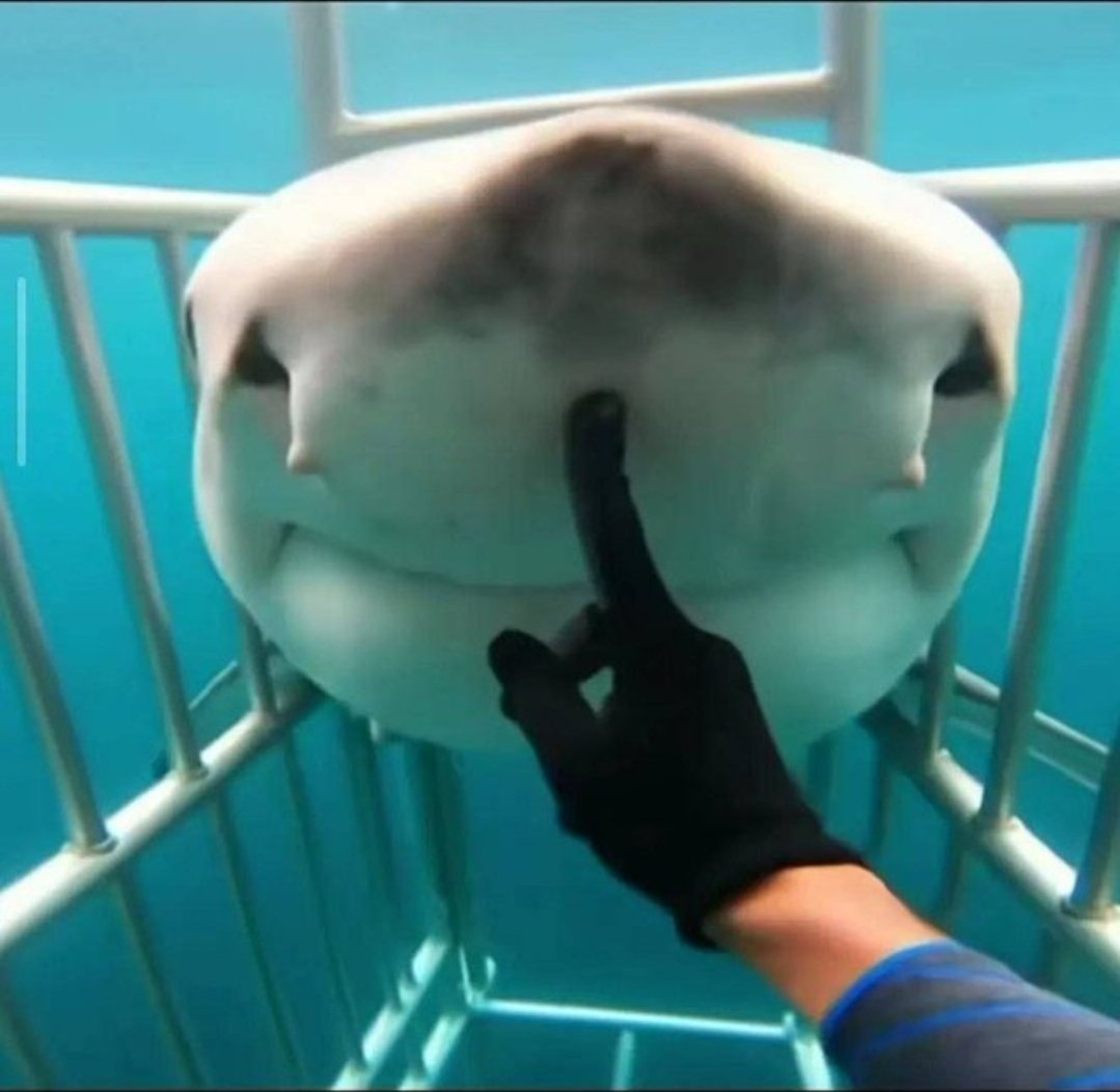 BmanDoesAnInternet tweet media