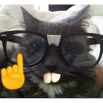 Main Smoke tweet media