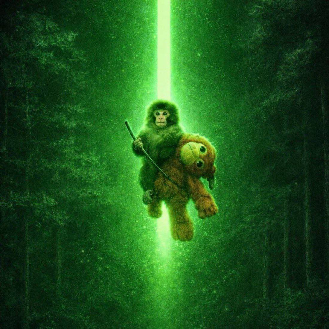 iAfon🇧🇷 tweet media