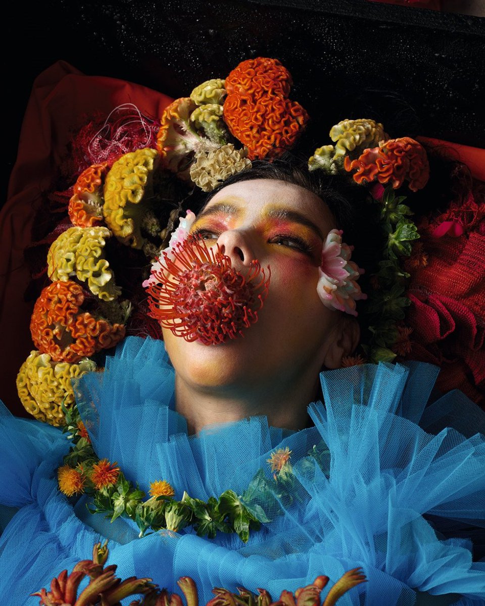 My name Isobel tweet media