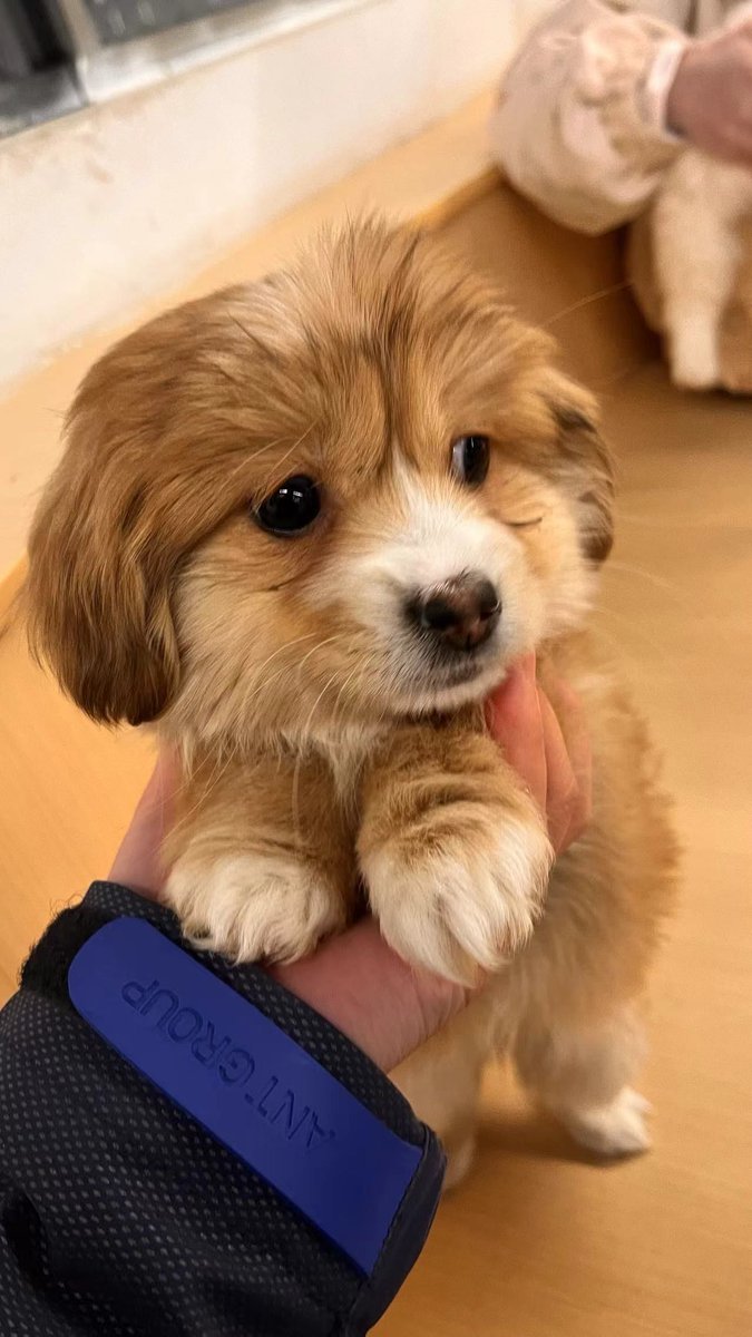 Naoto Asada tweet media