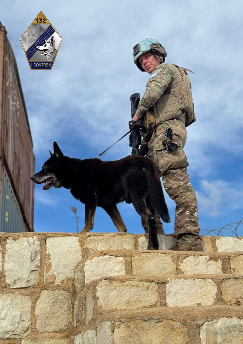 132e régiment d'infanterie cynotechnique tweet media