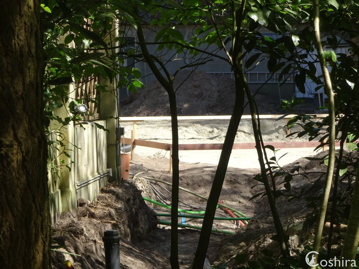 Coshira_'s tweet image. De bouw van de #Sprookjesbibliotheek is begonnen. 
#Efteling #Sprookjesbos