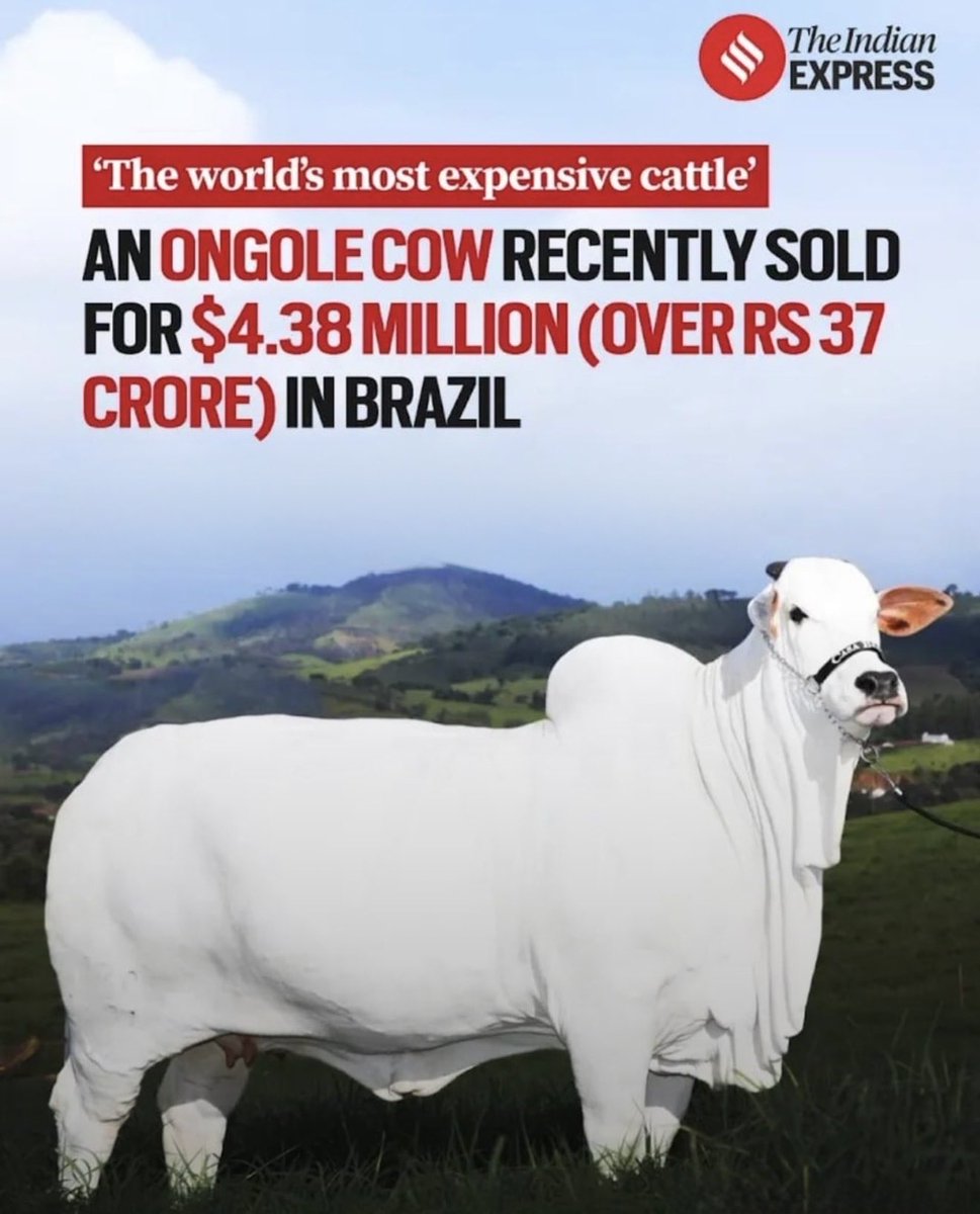 GazSonic's tweet image. vai mudu da thambi 
#Telugu #Ongole #Nellore