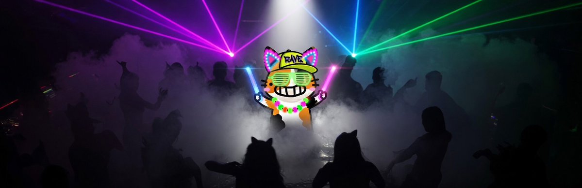 $RAVECAT 🪩 tweet media