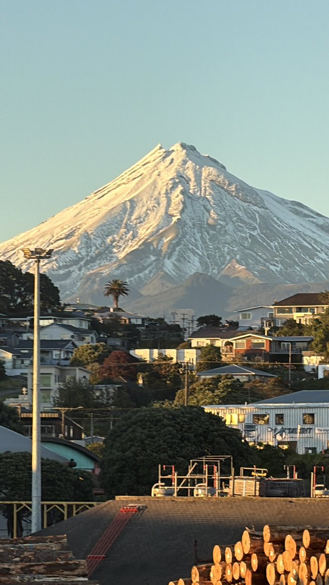 Chimerajaxs tweet media