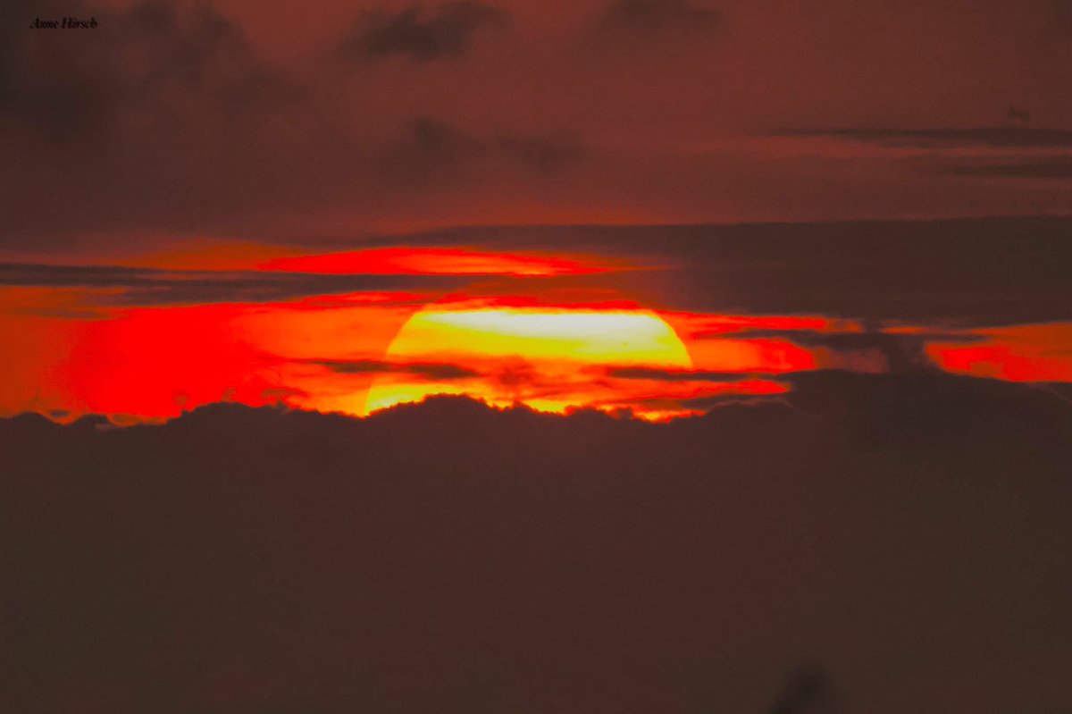MeteoCotedAzur's tweet image. 🌍 #PrévisionMétéo
 📆 Samedi 25/04/26

 📌 Samedi généreusement ensoleillé avec seulement quelques cumulus diurnes sans conséquence. ☀️🌤️

📝 Bulletin complet : facebook.com/share/p/16bDmj…

📲 Anne Hirsch - Antibes(06)
#CotedAzurFrance #AlpesMaritimes #Nice06 #Var