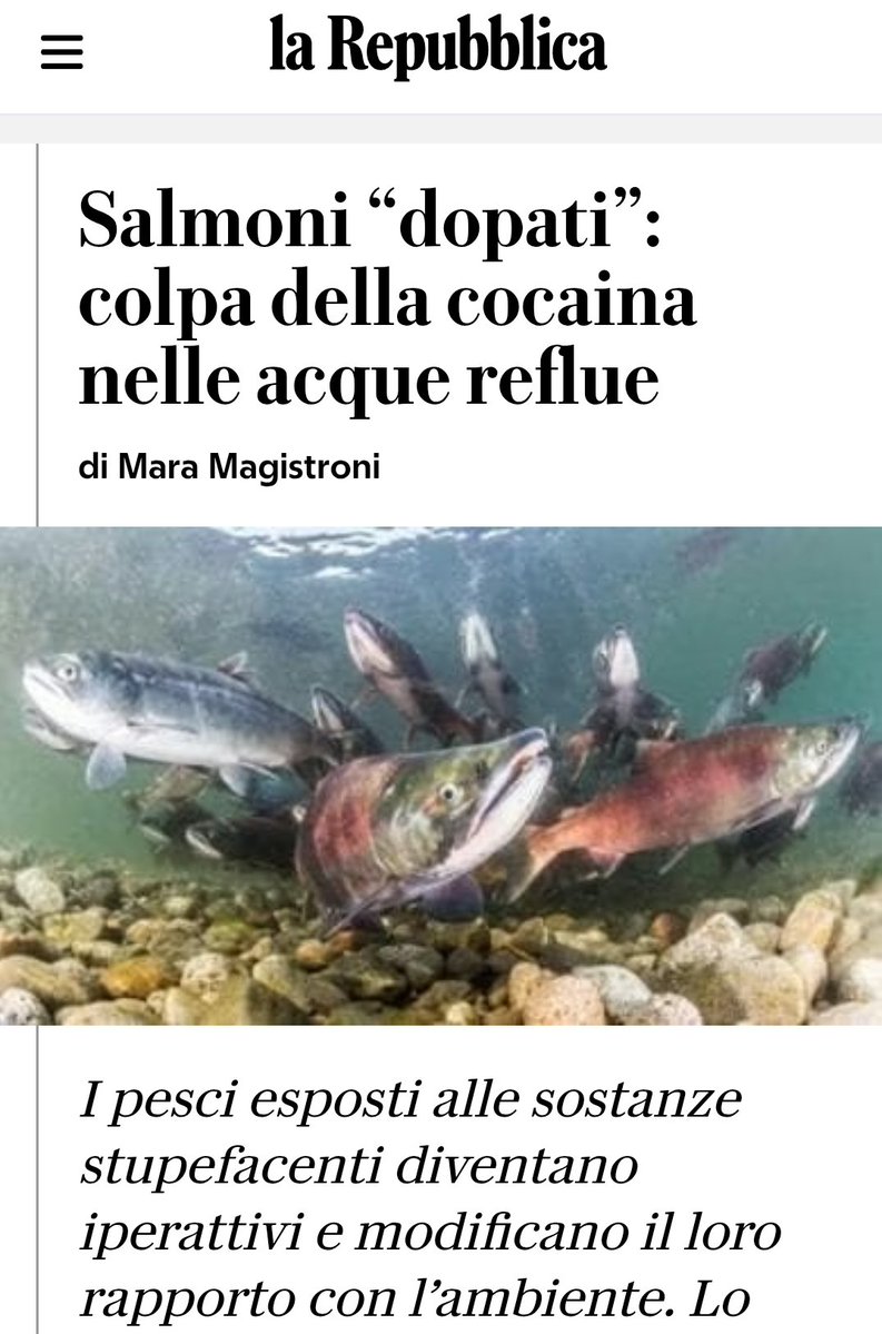 Mentre oggi, e finalmente direi, in TV si parla della revisione di Stasi, esce questo articolo che mi ha fatto sputare un polmone 
#garlasco