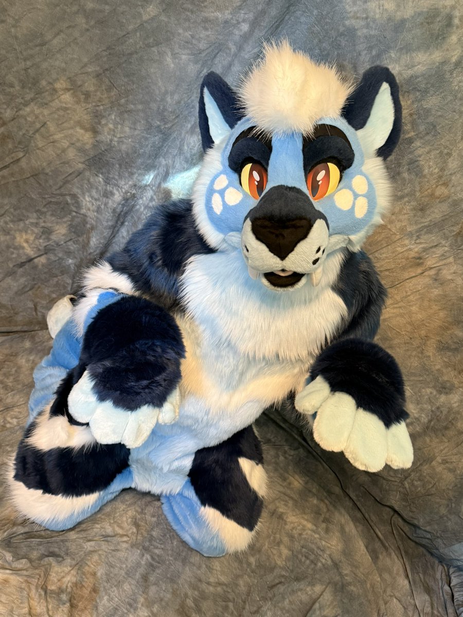 Blue Harbor 🌊⚓️ tweet media