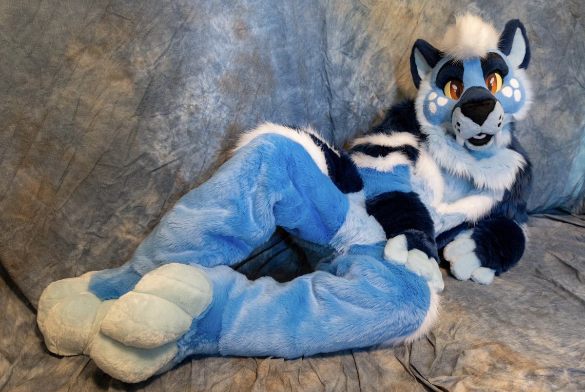 Blue Harbor 🌊⚓️ tweet media