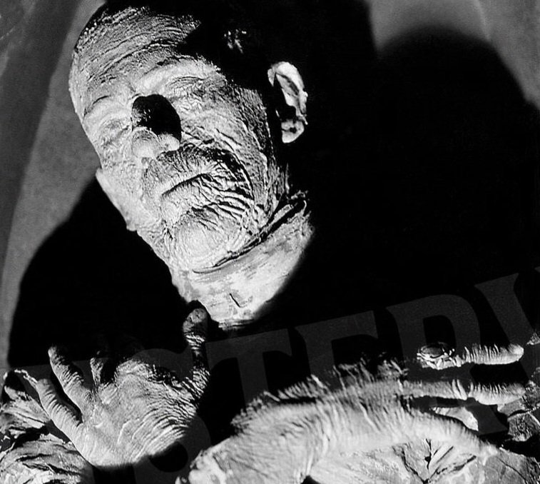 PRe11089's tweet photo. #PrecodeApril > Horror
Pre-code Hollywood gave us three memorable icons - and a new genre - with Dracula, The Mummy, and The Invisible Man.
#UniversalStudio #Horror https://t.co/aGp8SajJhY