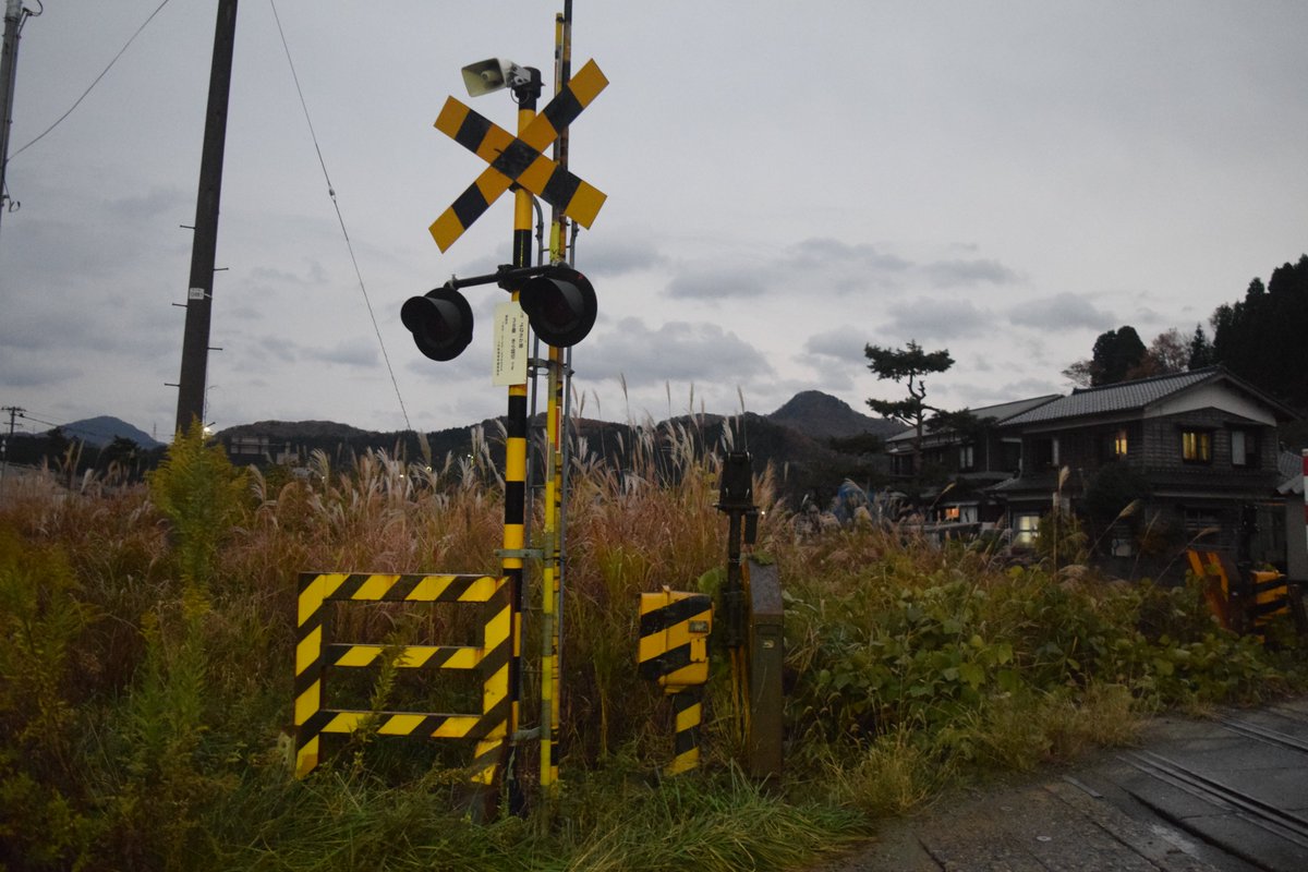 ろくいち tweet media