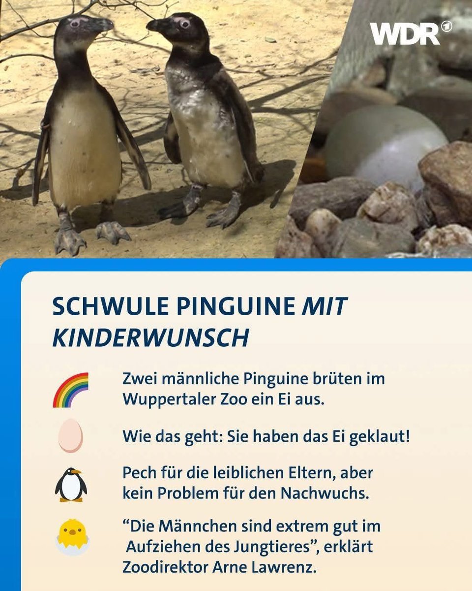 Jessica Ritter tweet media