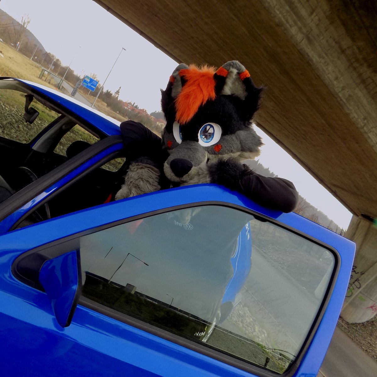 GhostWolffy_'s tweet photo. Having fun on #fursuitfriday 🥰?
-
-
-
-
-
-
#furry #furrycz #fursuit #golfmk3 https://t.co/UjHmCXei9z