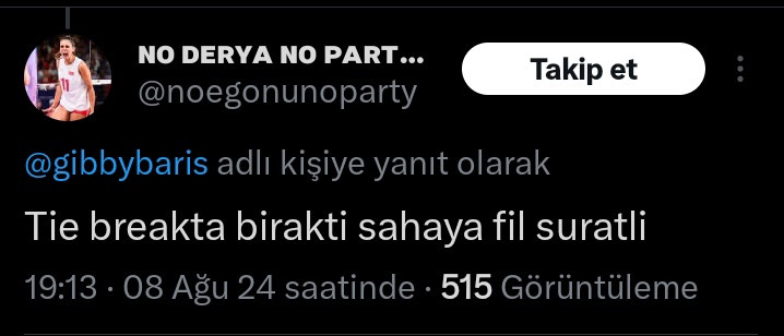 Hesabını özele alman bir işe yaramiyor canım benim Ana cristinaya geçmişte yazdığın o pis yorum ortada git tedavi ol rezil