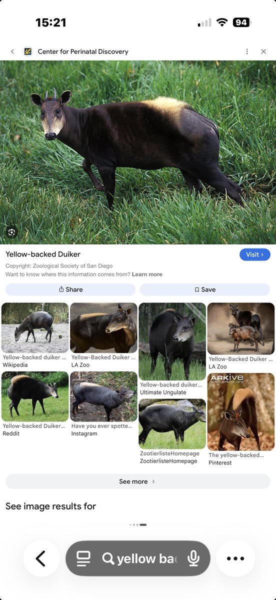 Martina Navratilova tweet media