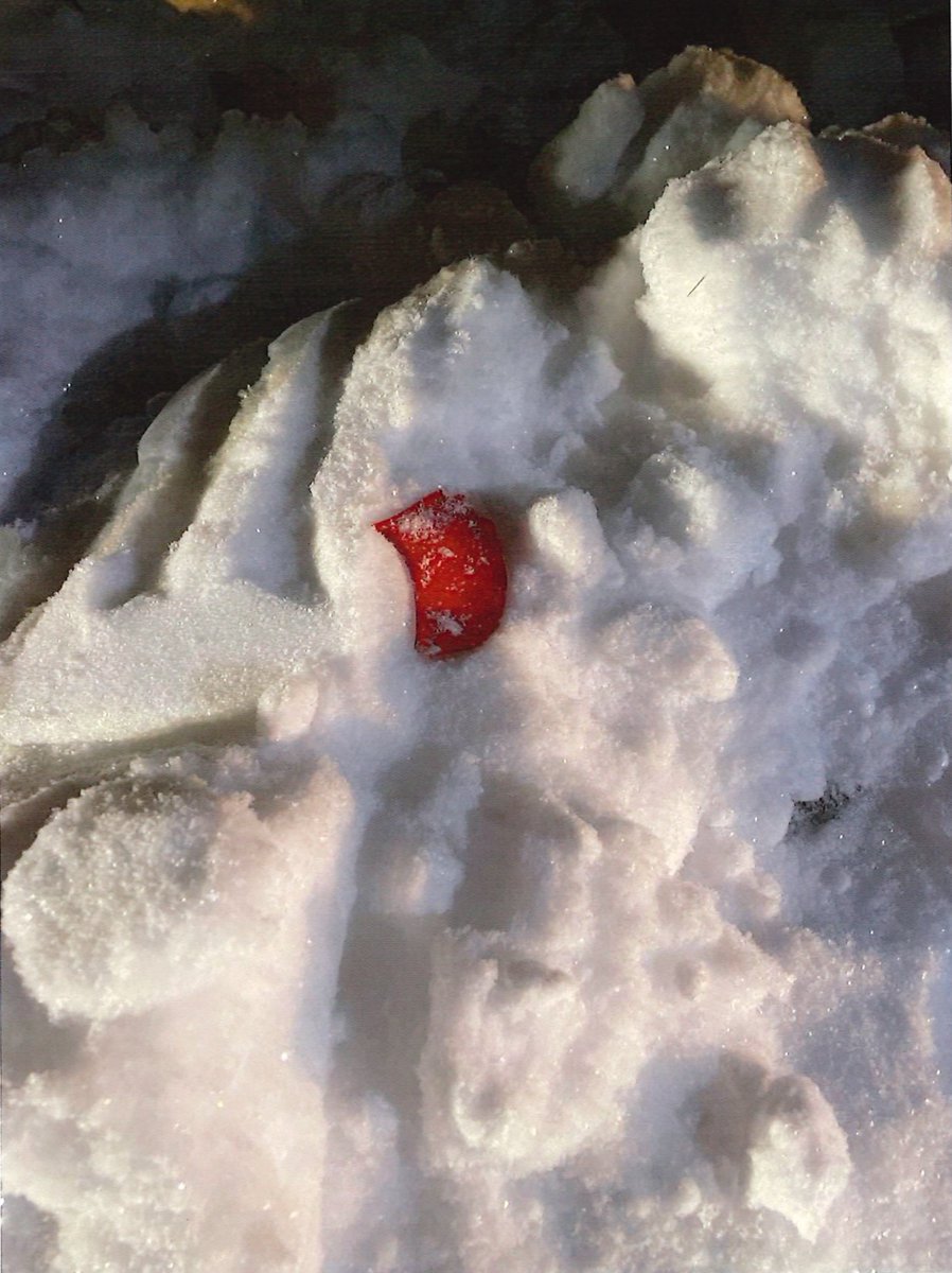 The Trial Channel tweet media