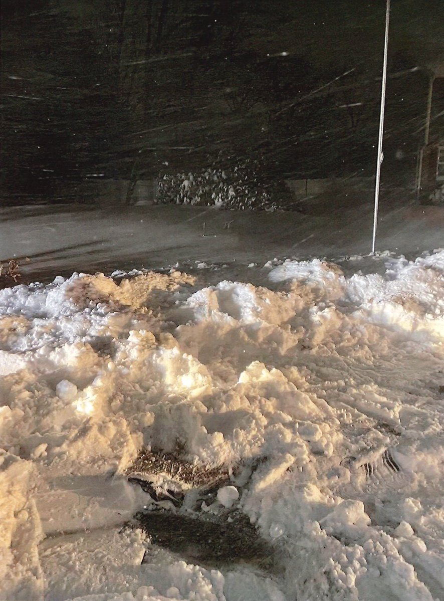 The Trial Channel tweet media