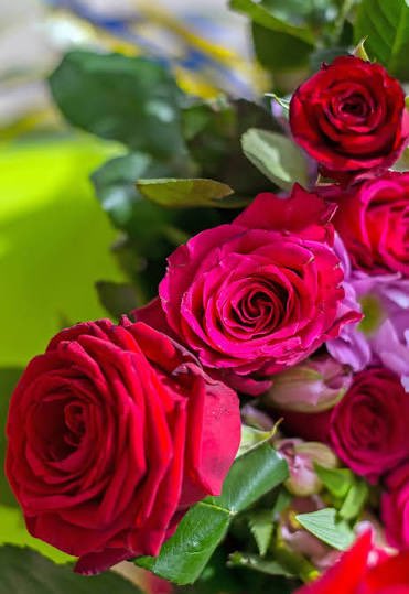 ★ رشا ★ tweet media