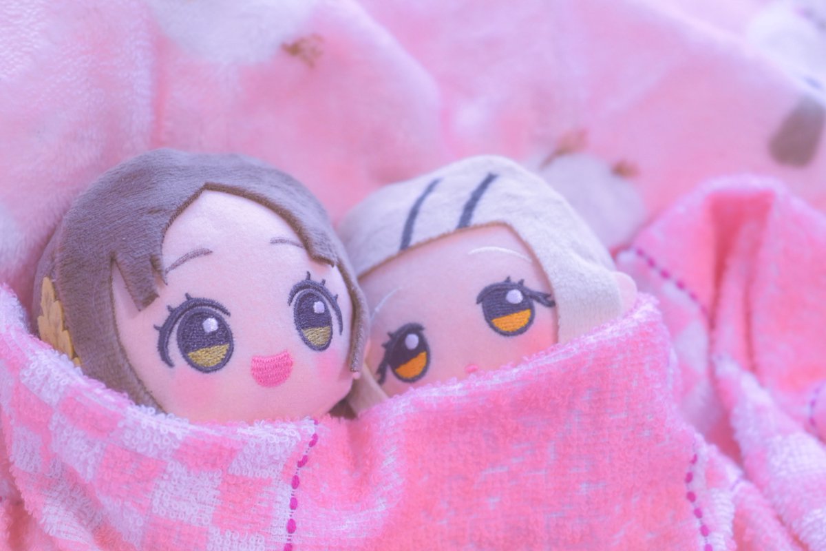 大葉しそ(ぬい活) tweet media