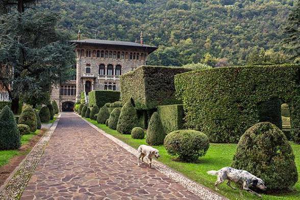 Max Thrax tweet media