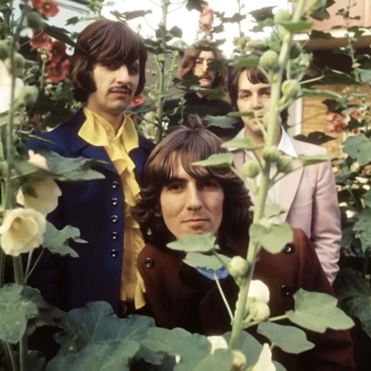 Elliot Roberts tweet media