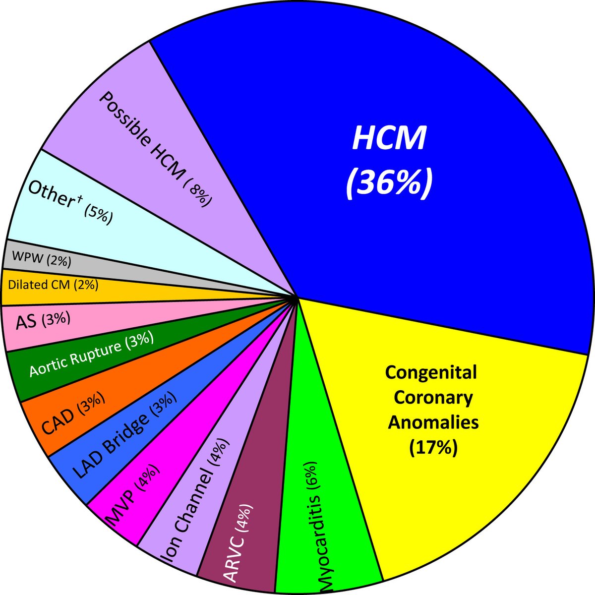 hrs_journal's tweet image. Commentary: Sudden death in competitive student-athletes with hypertrophic cardiomyopathy at a crossroads: Critical views on liberalizing return-to-play eligibility #OpenAccess 

heartrhythmjournal.com/article/S1547-…
